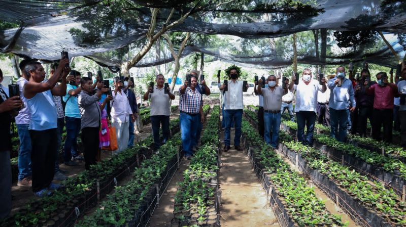 Daniel Andrade entrega plantas a 268 productores de 27 comunidades